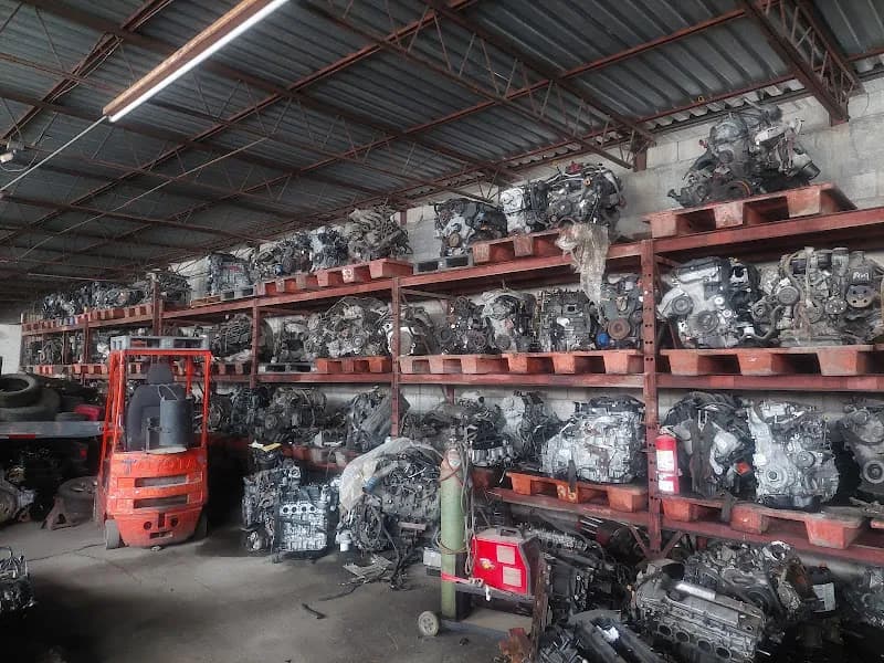 Ferny auto technical salvage