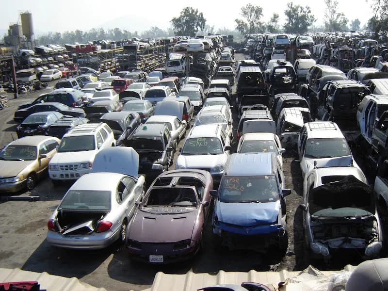 Wholesale Auto Parts 2019