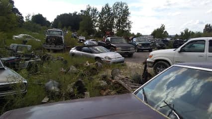 Newsome's Auto Parts Electric