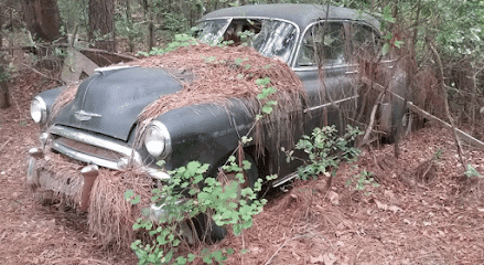 Junk Cars