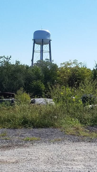 Scratchy's Auto & Truck Salvage