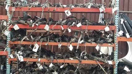 Anchor Used Autos
