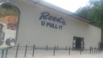 Reeds U Pull It