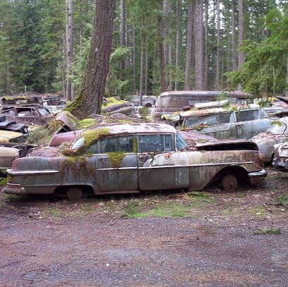 Trust Salvage LLC