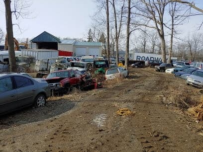 Ford's U Pull It