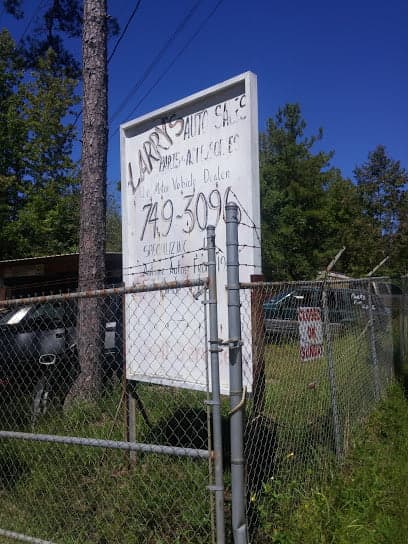 Larry's Auto Parts & Access