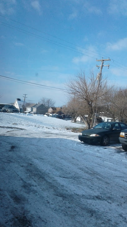 Steiner Auto Parts