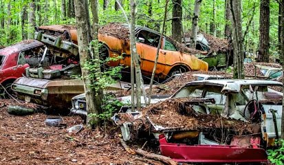 VBM Junk Car Removal